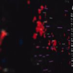 pexels-markusspiske-3970329